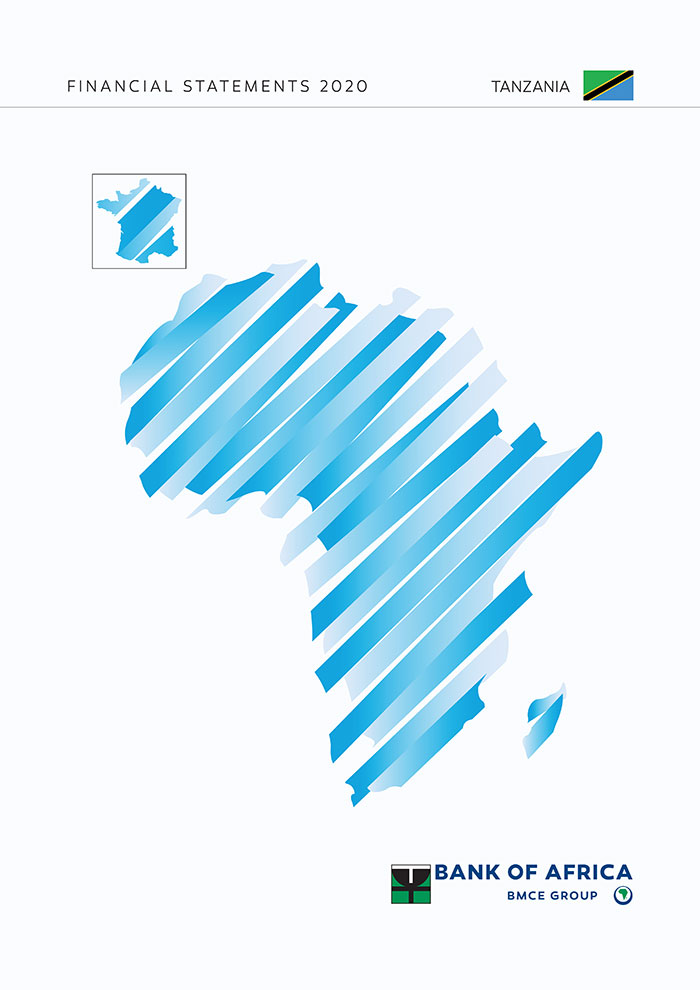 TZ 2020 Financial Statement 1